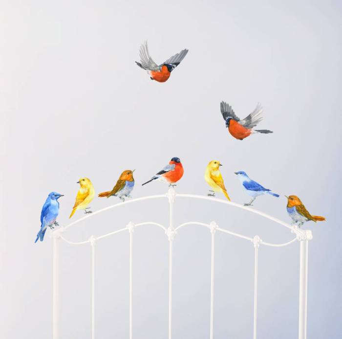 Wall decor stickers birds